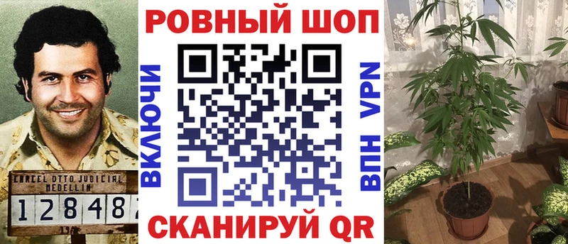 Купить СОЛЬ  Мефедрон  ГАШ  Псилоцибиновые грибы  Кокаин  АМФЕТАМИН  Холмск