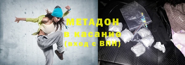 прущие грибы Балабаново