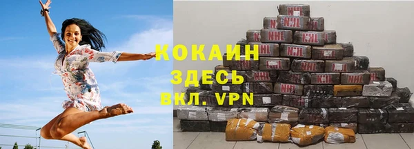 прущие грибы Балабаново