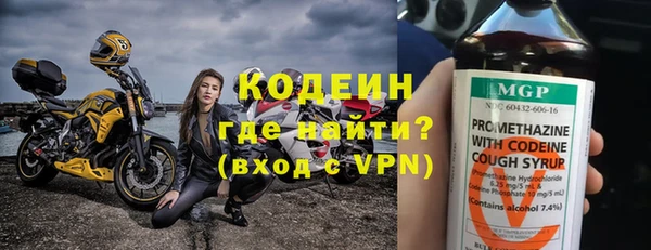 прущие грибы Балабаново