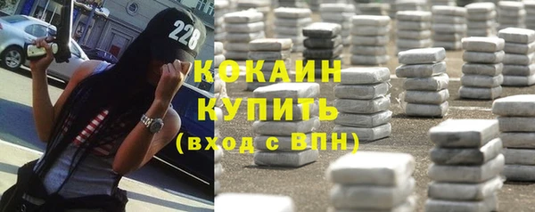 прущие грибы Балабаново